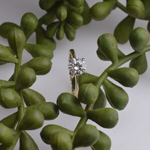 Catherine - 1ct Round Solitaire diamond ring