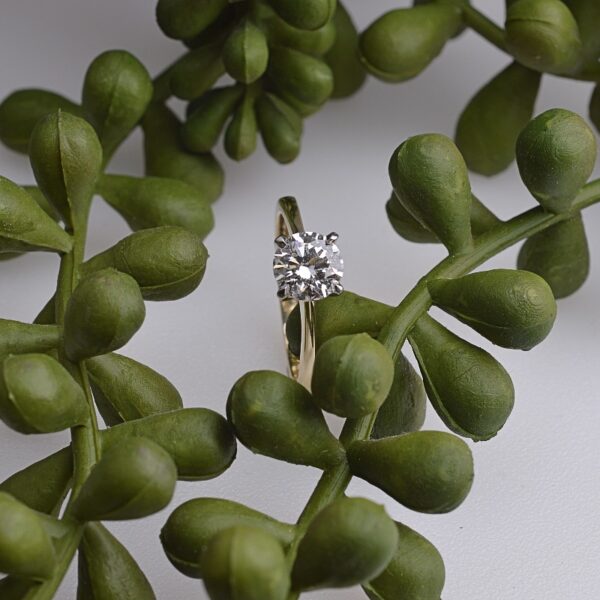 Catherine - 1ct Round Solitaire diamond ring